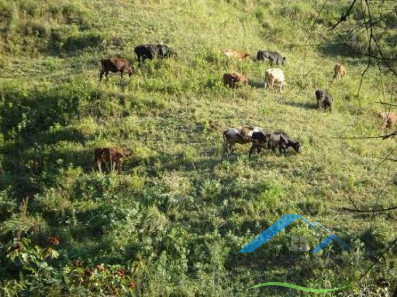Rural em Itariri