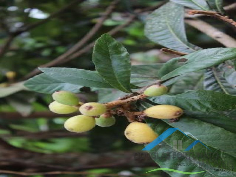 Rural em Itariri