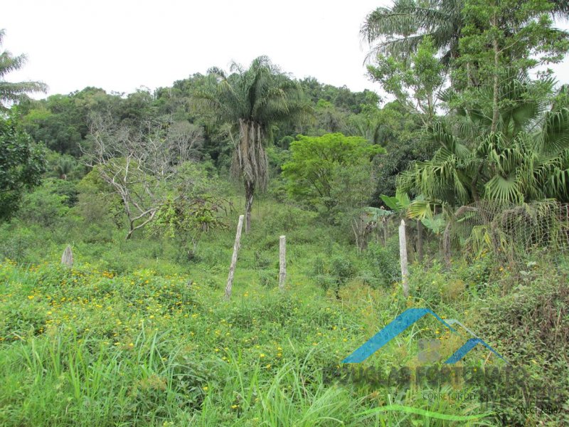 Rural em Peruíbe para Venda