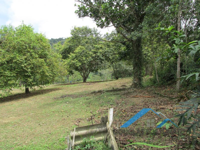 Rural em Peruíbe para Venda