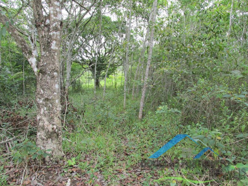 Rural em Peruíbe