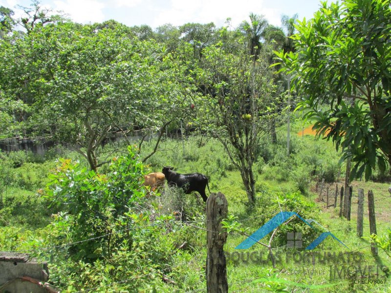 Rural em Peruíbe