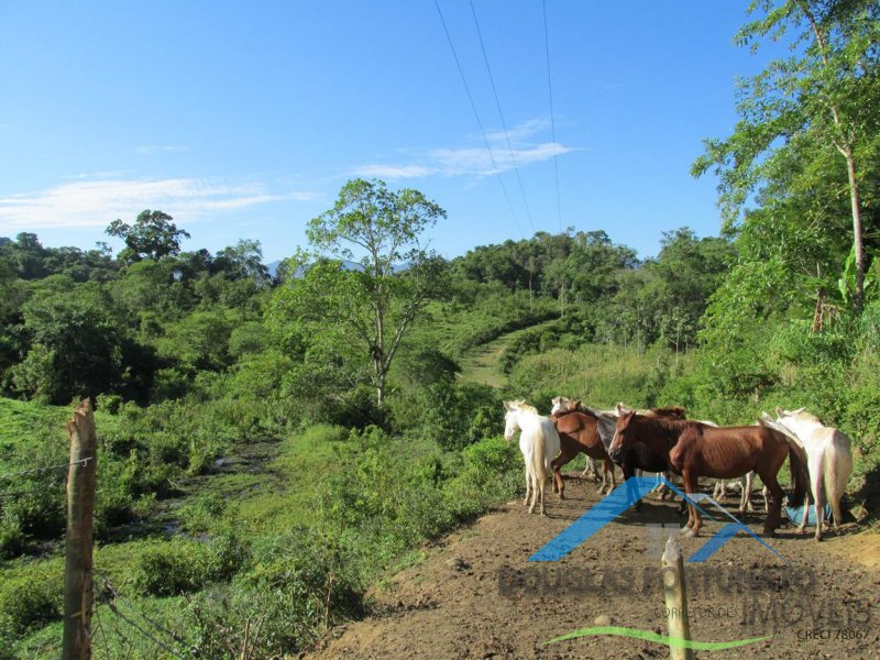 Rural em Itariri para Venda