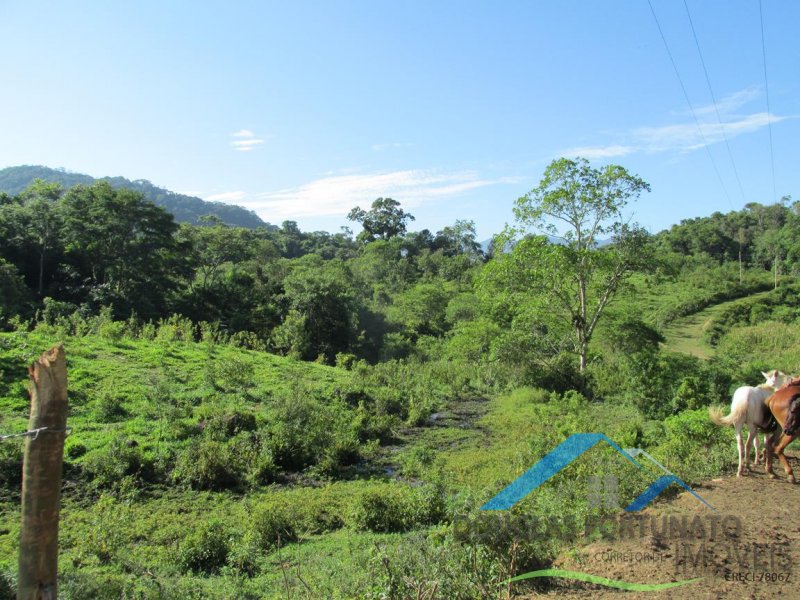 Rural em Itariri