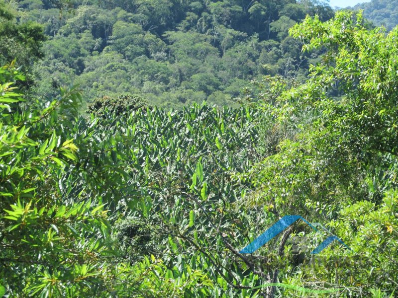 Rural em Itariri