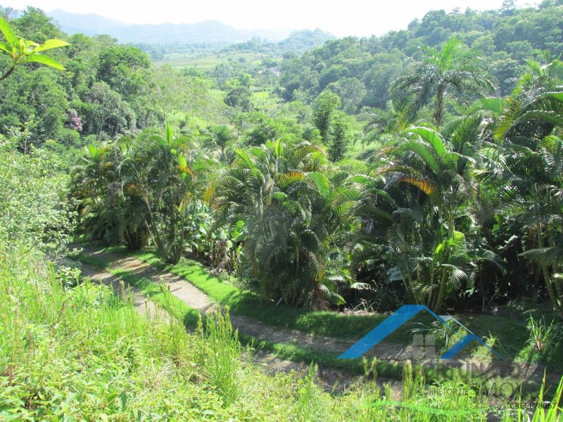 Rural em Peruíbe
