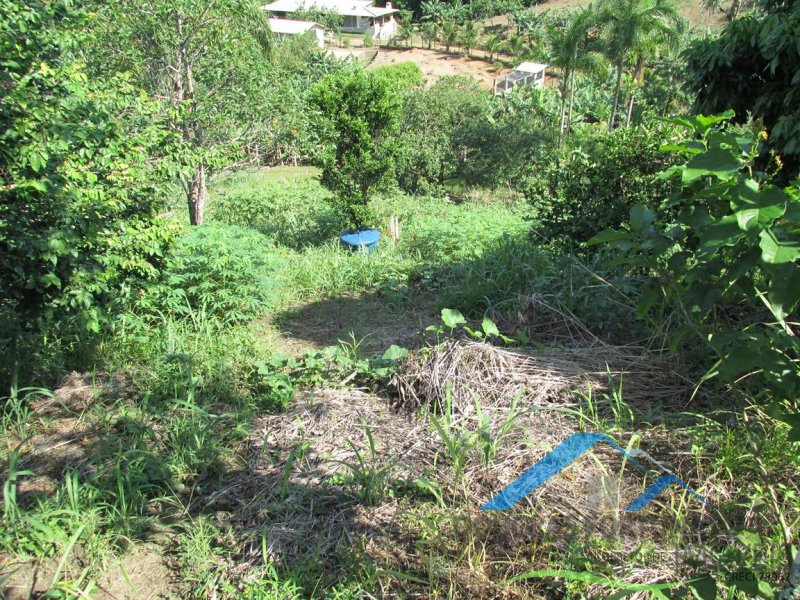 Rural em Peruíbe