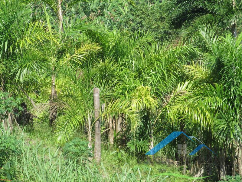 Rural em Peruíbe