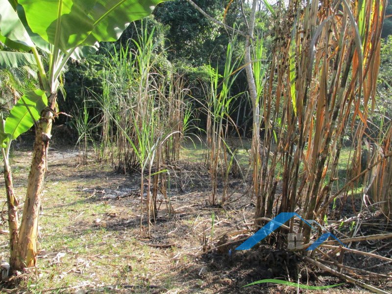 Rural em Itariri
