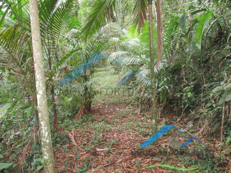 Rural em Itariri