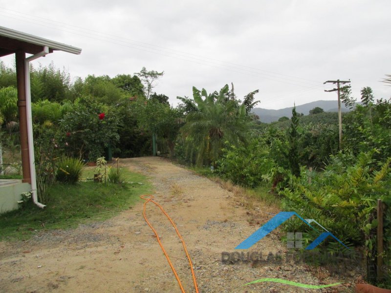 Rural em Peruíbe/Ana Dias