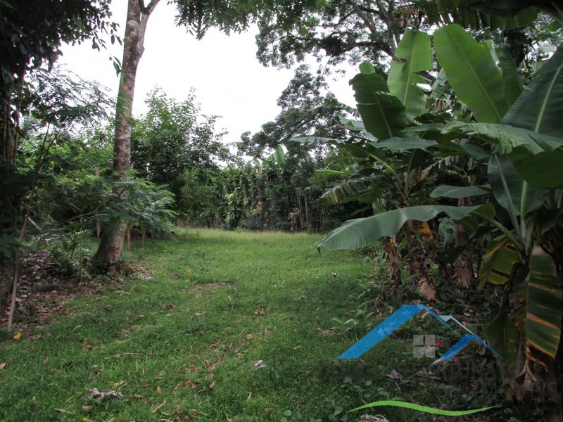 Rural em Peruíbe/Ana Dias