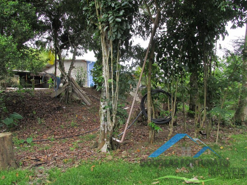 Rural em Peruíbe/Ana Dias