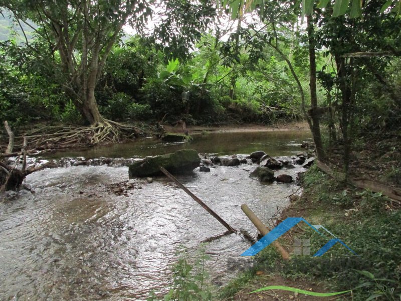 Rural em Peruíbe/Ana Dias