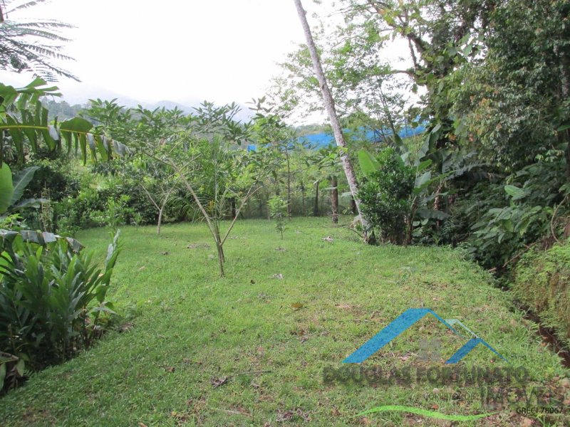 Rural em Peruíbe/Ana Dias