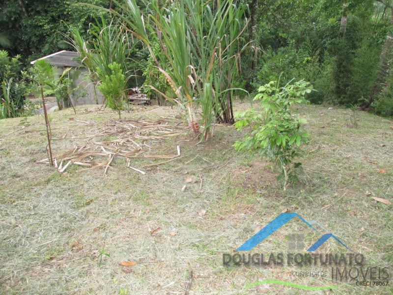 Rural em Peruíbe/Ana Dias