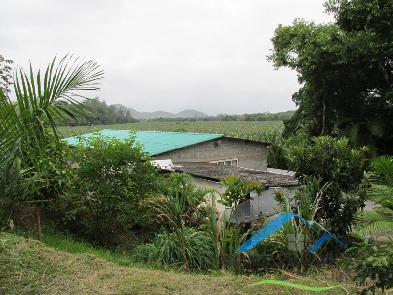 Rural em Peruíbe/Ana Dias