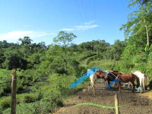 Rural Pós Linha em Itariri para Venda