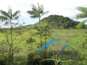 Rural Pós Linha em Peruíbe para Venda