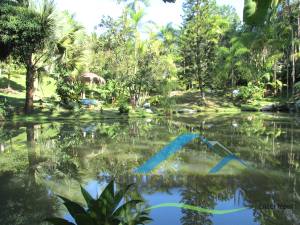 Rural Pós Linha em Itariri para Venda